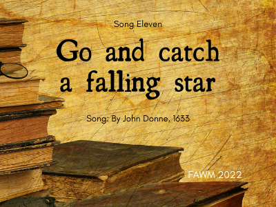 Go and Catch a Falling Star